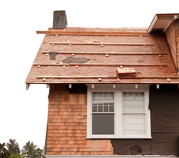 Best Historical Building Siding Restoration  in USA